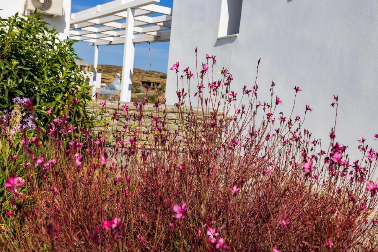 Apartment Resort Sifnos Faros  Ngoại thất bức ảnh